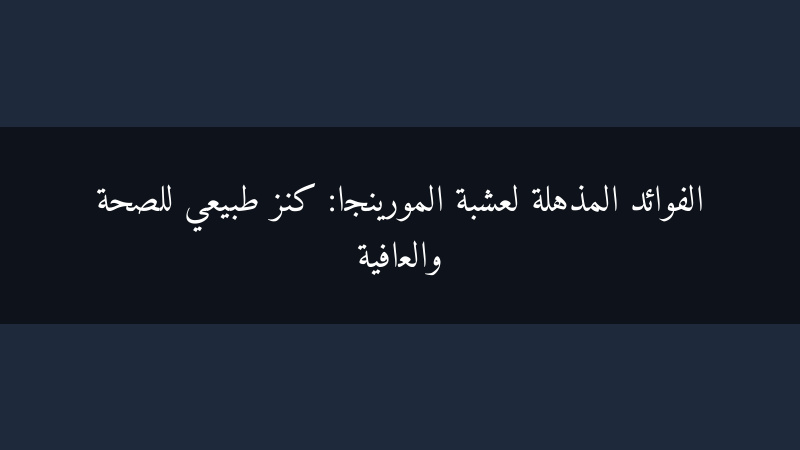الفوائد المذهلة لعشبة المورينجا: كنز طبيعي للصحة والعافية